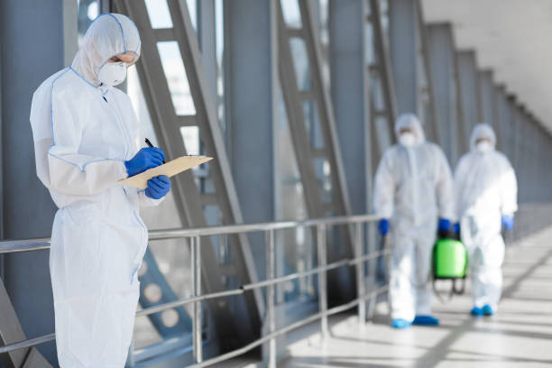 Best Air Quality Testing for Mold Spores  in Oronoco, MN