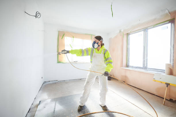Best Attic Mold Removal  in Oronoco, MN