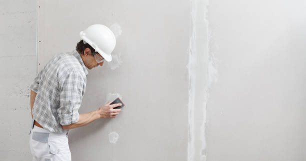 Best Industrial Mold Remediation  in Oronoco, MN