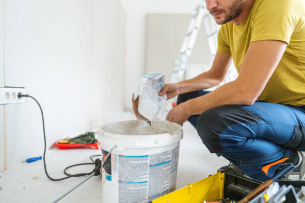 Best Post-Construction Mold Inspection  in Oronoco, MN