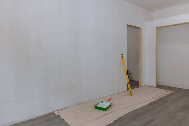 Best Post-Construction Mold Inspection  in Oronoco, MN