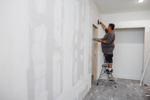 Best Water Damage & Mold Remediation  in Oronoco, MN