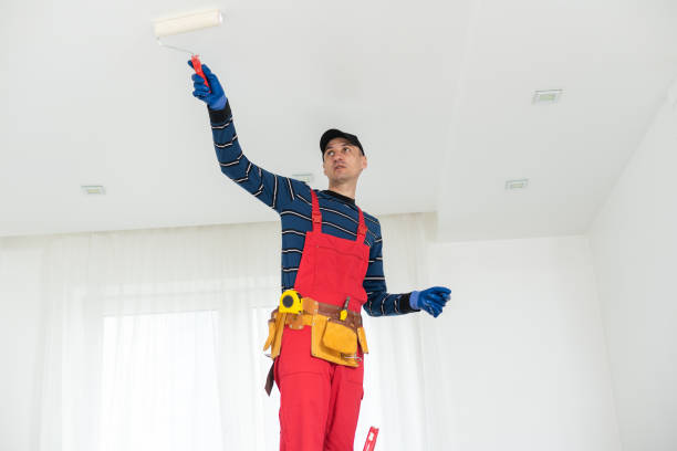 Best Basement Mold Removal  in Oronoco, MN