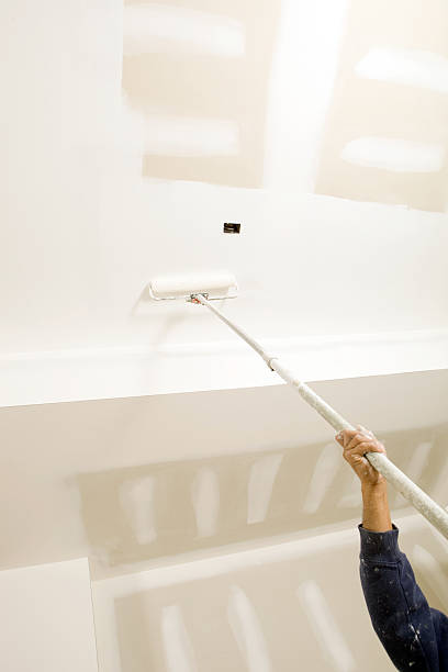 Oronoco, MN Mold Removal Company