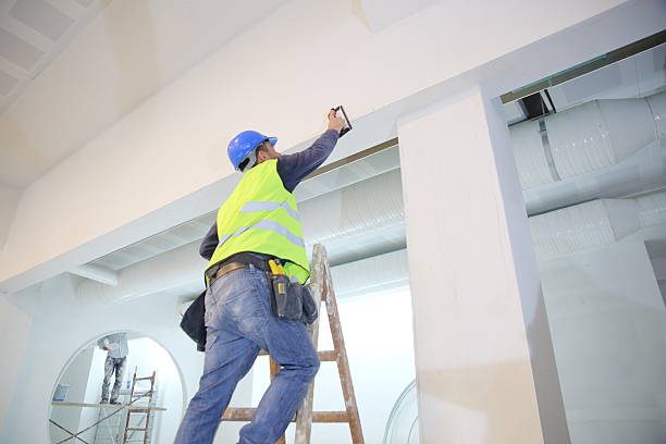 Best Mold Damage Restoration  in Oronoco, MN