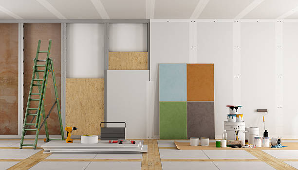  Oronoco, MN Mold Removal Pros