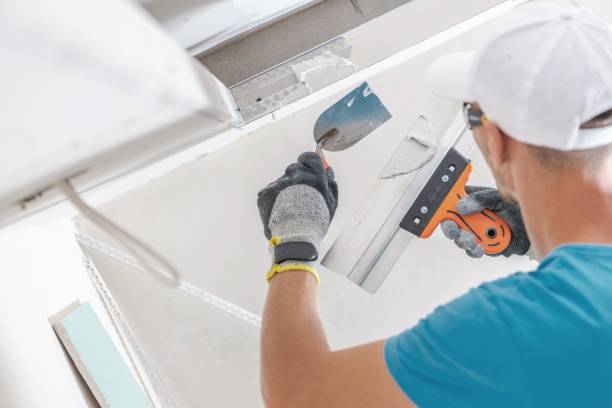 Mold Remediation for Vacation Homes